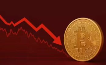 cryptocurrency market, bitcoin price fall, pi network coin, crypto market cap, ethereum drop, solana decline, delta exchange, crypto market trends, bitcoin etf inflow,
