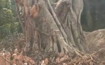 A conceptual image showing a distressed Indian family standing outside a village panchayat, representing the social boycott and plea for justice.