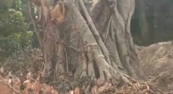 A conceptual image showing a distressed Indian family standing outside a village panchayat, representing the social boycott and plea for justice.