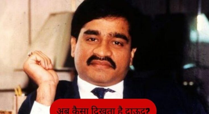 Dhurandhar 2 Dawood Ibrahim, where is Dawood Ibrahim now, Bade Sahab in Dhurandhar 2, Danish Iqbal actor, Ranveer Singh new movie, Bollywood news Hindi, Dawood Ibrahim dead or alive