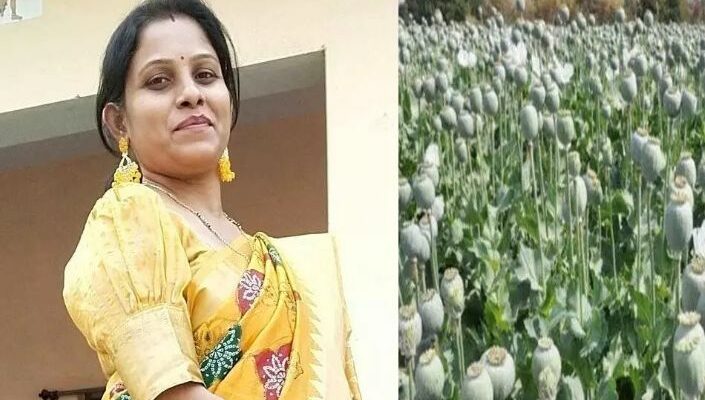 A conceptual image showing illegal opium plants in a field alongside a police barricade and a bold 'Suspended' stamp, representing the Durg opium cultivation case.