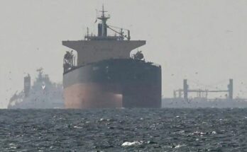 A conceptual image showing an Indian merchant ship with the tricolor flag being safely escorted by naval vessels in the Strait of Hormuz.