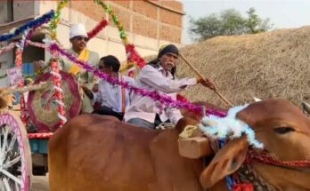 Bullock Cart Wedding Chhattisgarh