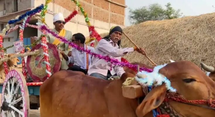 Bullock Cart Wedding Chhattisgarh