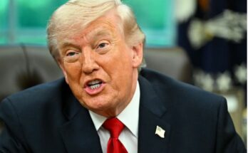 Donald Trump Iran Stuffed Pig Statement