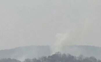 जशपुर के जंगल में जलते हुए पत्ते और धुआं, जिस पर लाल रंग से फेक न्यूज़ लिखा हुआ है