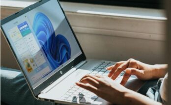 Windows 11 Update Pause