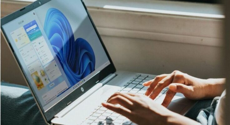 Windows 11 Update Pause