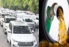 CG Govt Fuel Saving Rules