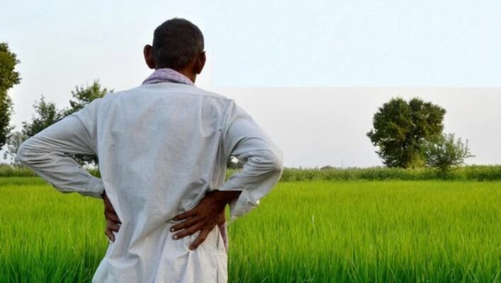 CHAMPS Portal CG Subsidy