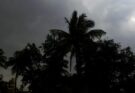 Chhattisgarh Weather Forecast