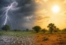 Chhattisgarh Weather Update: झुलसाने वाली गर्मी से राहत! आंधी-तूफान के साथ बारिश से गिरा पारा, रायपुर समेत कई जिलों का बदला मौसम