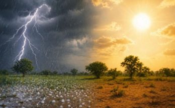Chhattisgarh Weather Update Relief From Heat