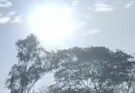 Chhattisgarh Weather Update