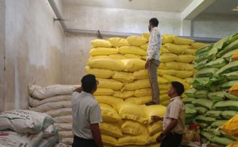 Dhamtari Fertilizer Action