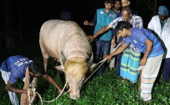 Donald Trump Buffalo Bangladesh