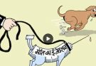 Supreme Court Stray Dog Verdict