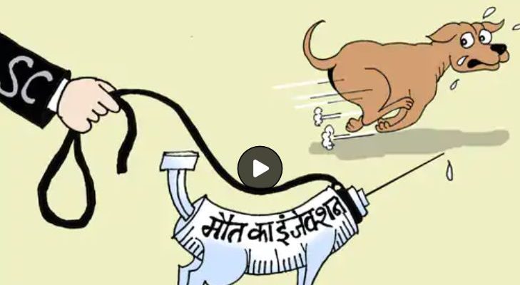 Supreme Court Stray Dog Verdict