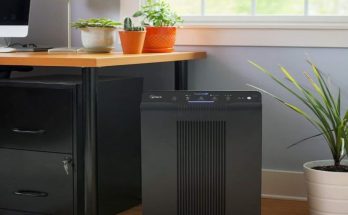 Air Purifier in Summer