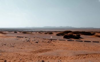 Desert Tragedy 49 Dead