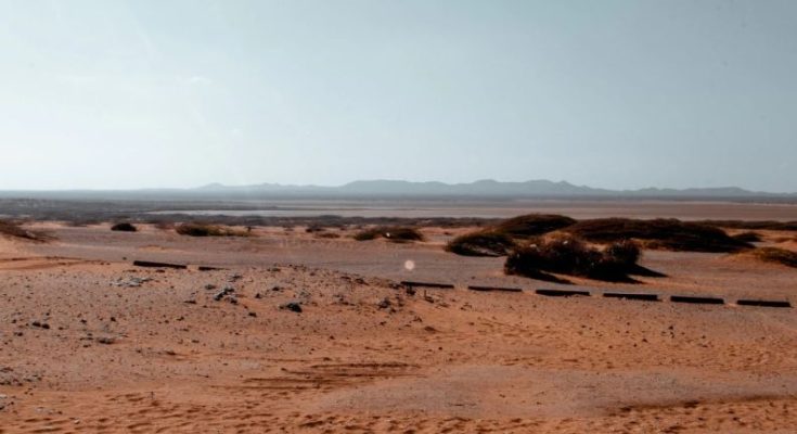 Desert Tragedy 49 Dead
